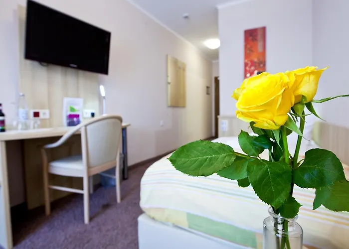 Siebenschlaefer Alsdorf